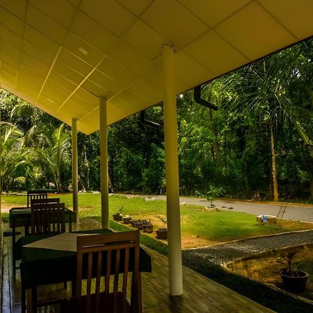 Little Ele Safari Lodge Udawalawe Exterior photo